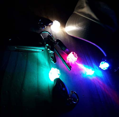 Photon Freedom PLUS Micro Light White